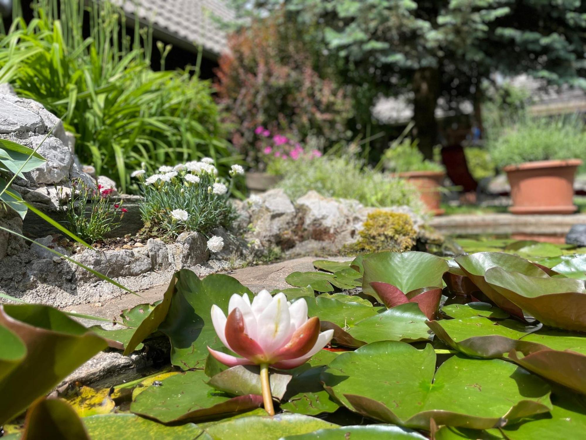 Green Oasis Garden Šenčur Εξωτερικό φωτογραφία