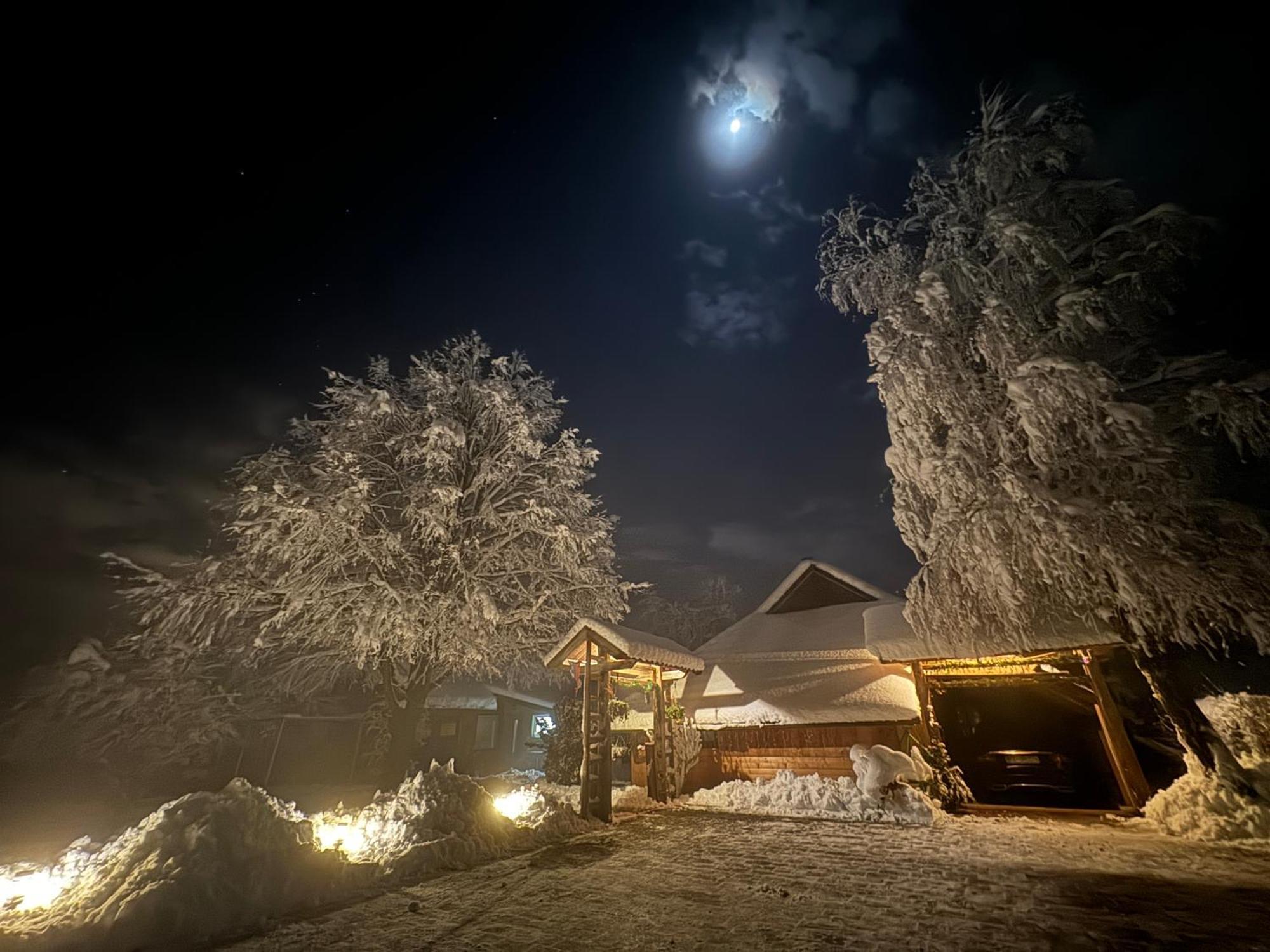 Green Oasis Garden Šenčur Εξωτερικό φωτογραφία